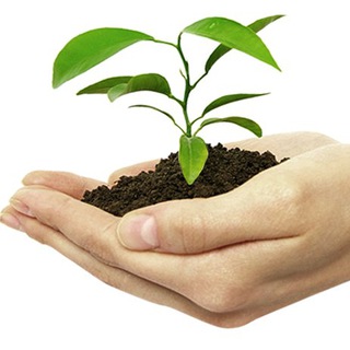 plant protection (@plantprotection1)