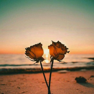 سرخ (@red_bio)