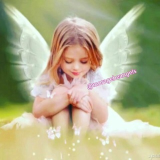 فرشتگان مراقبه جذب (@moragebeangels)