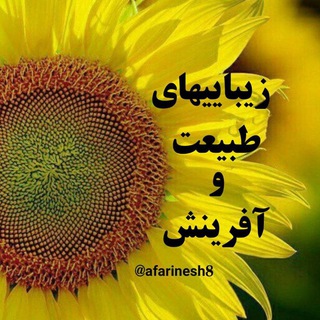 🌼 زیباییهای طبیــــعت و آفرینش 🌼 (@afarinesh8)