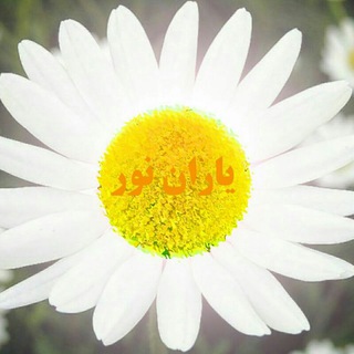تغییر باورها_پاکسازی (@taghirbavarha)
