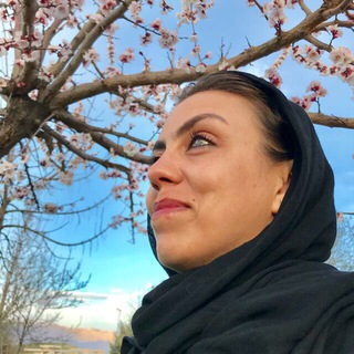 Narges Kalbasi نرگس كلباسي (@nargeskalbasi)