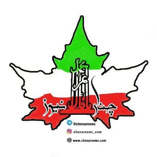 چنارنیوز (@chenarnews)