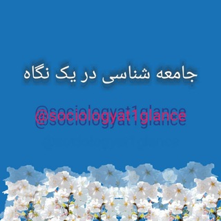 جامعه شناسی در یک نگاه (@sociologyat1glance)