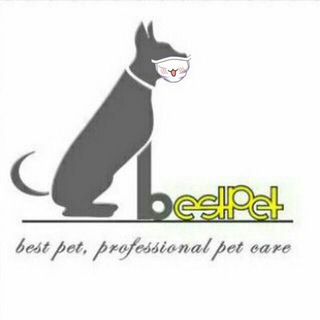 BestPet | «مرجع آگهی حیوانات خانگی» (@bestpet)