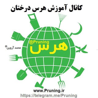 هرس کردن (@pruning)