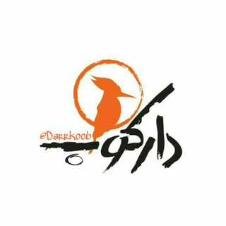 دارکوب (@darrkoob)