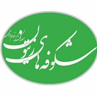 شکوفه‌های زیتون (اسپرو) (@shzeitoun)