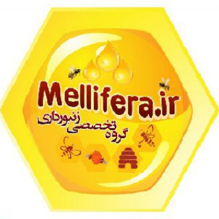 کانال گروه زنبورداری mellifera.ir (@melliferair)