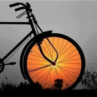 آفتاب پیشوا (@aftab_pishva)