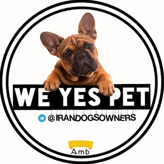 We yes Pet🐾 (@irandogsowners)