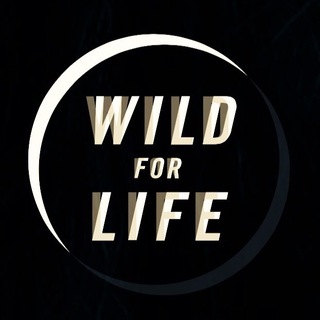 تيم نجات حيات وحش (@wildliferescueteam)