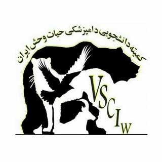VSCIW ⚚ (@vsciw)