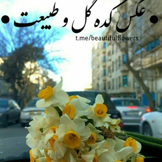 عکس کده گل و طبیعت (@beautifulflowers)