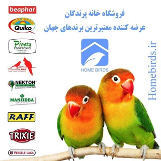 خانه پرندگان (@canary051)