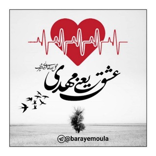 عشق‌یعنی‌مهدی‌علیه‌السلام♡ (@barayemoula)