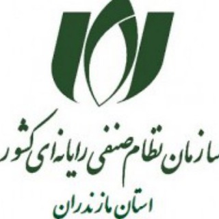 اعضای سازمان نظام صنفی رایانه ای مازندران (@nsrmazand)