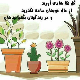 باغچه کاکتوس (@baghchekaktoos)