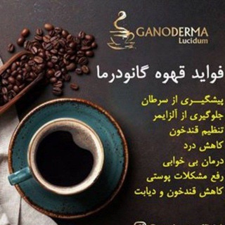 گانودرما پادشاه سلامتی (@ganodermalosidoome)