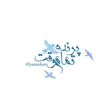 پرنــدهٔ تمــام‌وقتـــ (@parandeam)