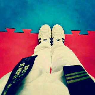 تکواندو شاهین دژ (@shahindezhtaekwondo)