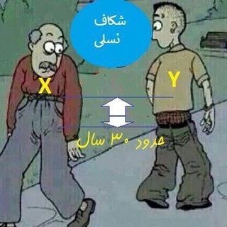 Y نسل (@nasley)