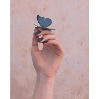yamin (@sanaye99)