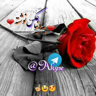 ❤یه دنیا عکس🍂نوشته❤ ❤یه دنیا عکس🍂نوشته❤ ❤یه دنیا عکس🍂نوشته❤ ❤یه دنیا عکس🍂نوشته❤ (@aksne)