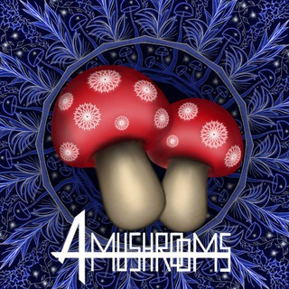 Amushrooms پرورش قارچ جادویی (@amushrooms)