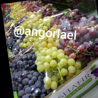 انگور لعل (@angorlael)
