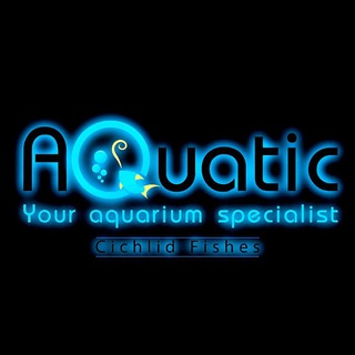 Aquatic ( Cichlid / سیکلید ) (@aquaticcichlid)