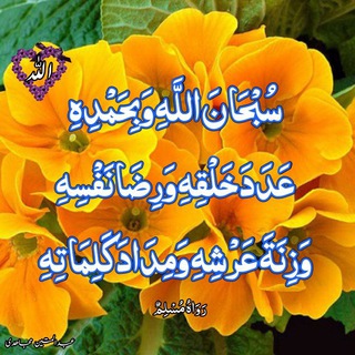 کتاب (@archiveketabkhane)