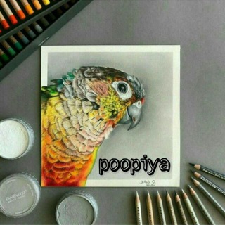 عروس هلندی (@arosholandipopiya)
