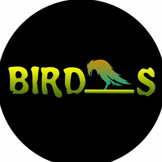 دنیای پرندگان (@bird_s)