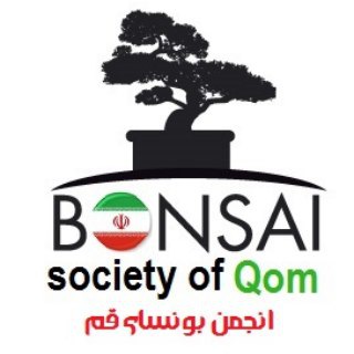 کانال انجمن بونسای قم (@bonsai_qom)