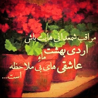 کافه نهال (@cafenahal)