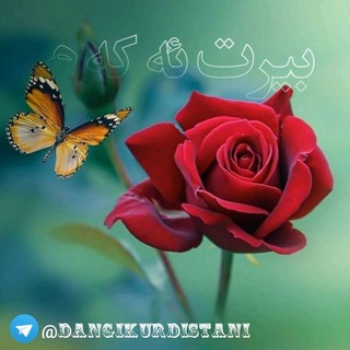 بیرت ئہ‌ڪہ‌م (@dangikurdistani)
