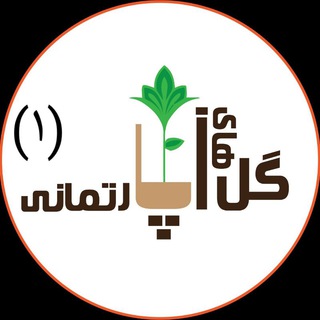 گلخانه آمیتیس(فروش عمده) (@flowersofthehouse)