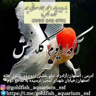 کانال آکواریوم گلدفیش (@goldfish_aquarium_esf)