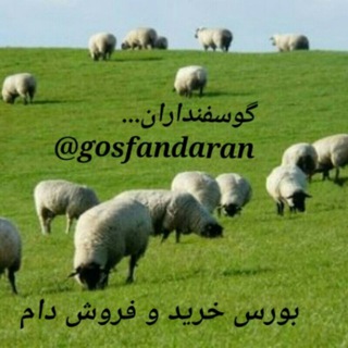 دام داران و گوسفنداران کشور (@gosfandaran)