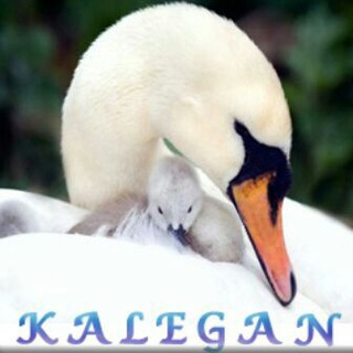 کانال دوستی (@kalegancharge)