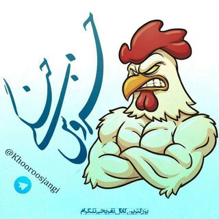 🐓 خروس جنگی🎃 (@khooroosjangi)