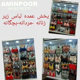 پخش عمده لباس زير امین پور (@lebasziraminpoor)