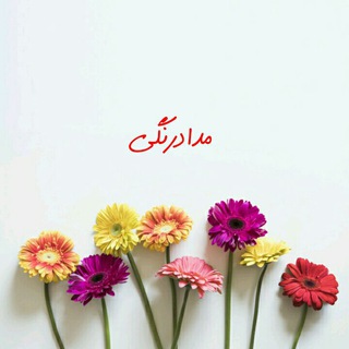 مداد رنگی (@likedarim)