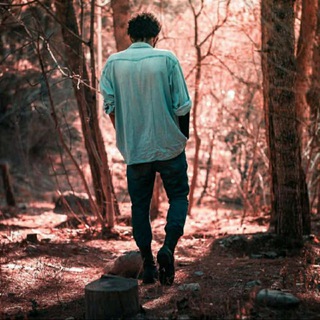 Mohammad_1379_17 (@mohammad_1379_17)