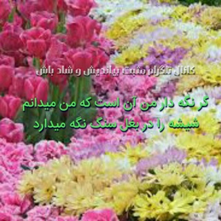 مثبت بیاندیش و شاد باش (@mosbatbiandishoshadbash)