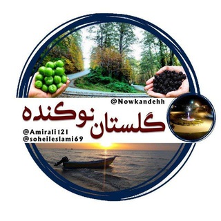 ✍ گلســـتان نوکنـــــده (@nowkandehh)