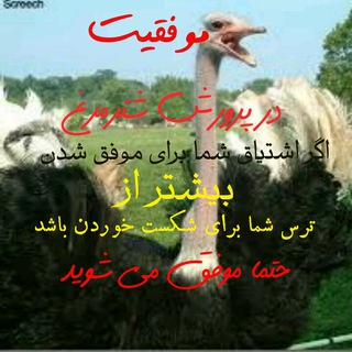 پــرورش شــتــرمــرغ (@parvareshshotormorg)