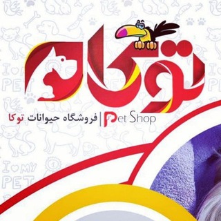 فروشگاه حیوانات خانگی توکا (@petshoptoka)