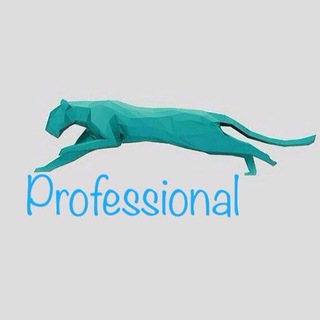 Professional (@professionalcasher)